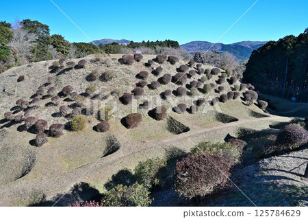 Izu Province's "Yamanaka Castle" overlooking Mt. Fuji: Shoji moat and enclosure 125784629