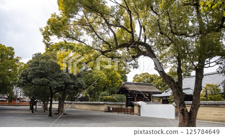東寺, 金堂, 寺廟, 神社, 真言宗, 空海, 弘法大師, 京都, 建築 125784649