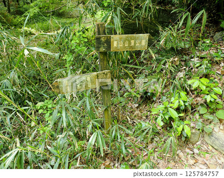 [山牌] 京都環線、東山路線（2025） 125784757