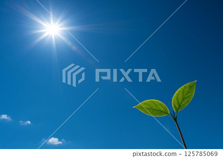 Sun Blue Sky Futaba Sun Blue Sky Futaba 125785069