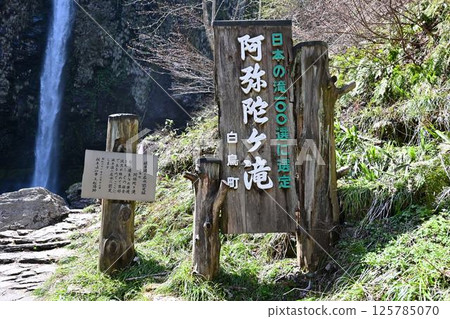 Amitabha Falls 125785070