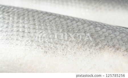 Fish scales texture background, sea bass skin close up, macro shot of silver labrax scale 125785256