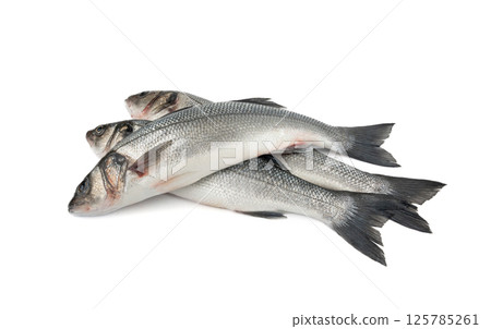 European seabass or Dicentrarchus labrax, whole raw labrax, branzino fish, European bass 125785261