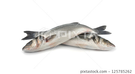European seabass or Dicentrarchus labrax, whole raw labrax, branzino fish, European bass 125785262