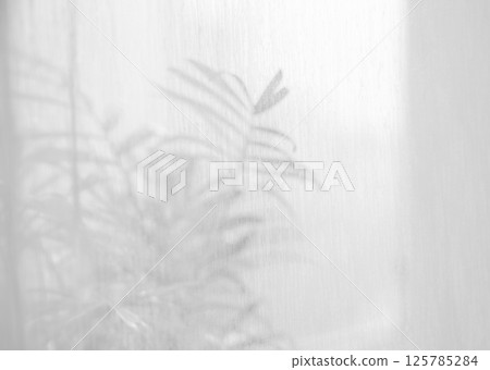 Sunlight on curtain, blurred shadow tulle background, sheer curtains, silk veil fabric 125785284