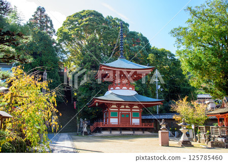 Jison-in Temple, Kudoyama, Kishu Jison-in Temple, Kudoyama, Kishu 125785460
