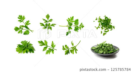 Chopped Parsley Leaves Isolated Chopped Parsley Leaves Isolated 125785784