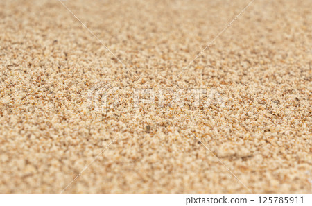 Milk thistle seeds powder, crushed silybum marianum grains pile, milled dry blessed milkthistle Milk thistle seeds powder, crushed silybum marianum grains pile, milled dry blessed milkthistle 125785911