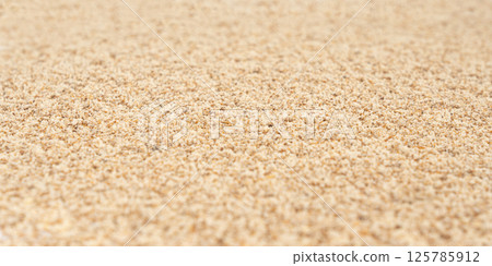 Milk thistle seeds powder, crushed silybum marianum grains pile, milled dry blessed milkthistle Milk thistle seeds powder, crushed silybum marianum grains pile, milled dry blessed milkthistle 125785912