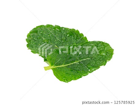 Wet mint leaves isolated. Peppermint leaf with water drops, green fresh mint, menthol plant Wet mint leaves isolated. Peppermint leaf with water drops, green fresh mint, menthol plant 125785925