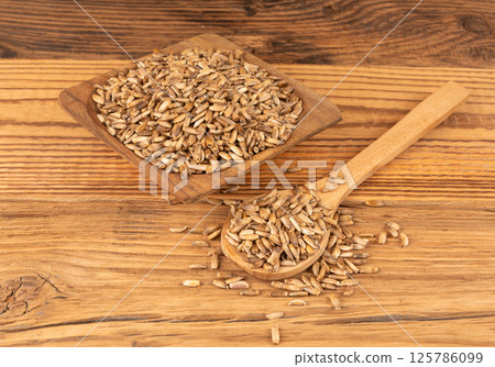 Milk thistle seeds, silybum marianum grains, dry blessed milkthistle fruits, variegated thistle kernels 125786099