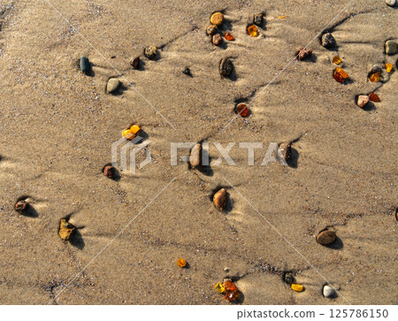 Amber stones on sea coast. Amber gems search on Baltic sea shore, fossilized tree resin crystals on sand 125786150