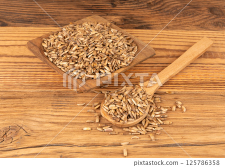 Milk thistle seeds, silybum marianum grains, dry blessed milkthistle fruits, variegated thistle kernels 125786358
