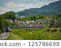 Carp streamers (Minamiasakawa, Hachioji City) 125786698