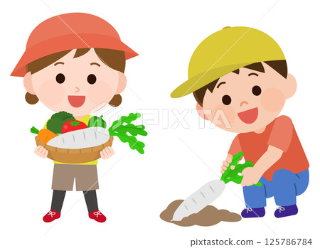 Boy and girl harvesting vegetables illustration Boy and girl harvesting vegetables illustration 125786784