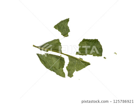 Thai lime dried leaves isolated, makrut lime or Citrus hystrix leaf pile, kaffir lime dry sprouts, Asia spices Thai lime dried leaves isolated, makrut lime or Citrus hystrix leaf pile, kaffir lime dry sprouts, Asia spices 125786921