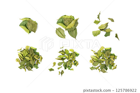 Thai lime dried leaves isolated, makrut lime or Citrus hystrix leaf pile, kaffir lime dry sprouts, Asia spices 125786922