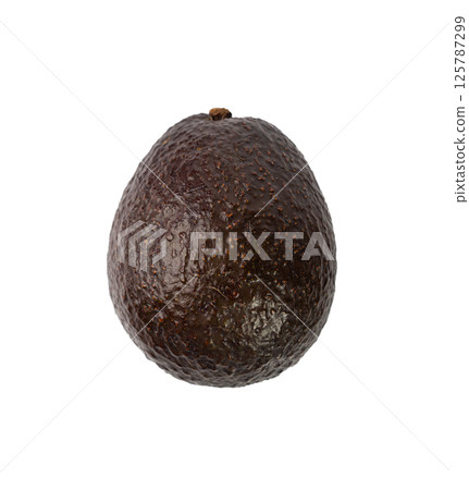 Hass Avocado Isolated, Whole Sharwil Brown Avocados Pile, Fresh Alligator Pear, Persea Americana 125787299