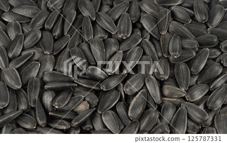 Sunflower seeds texture background, black sun flower grains snack pattern, edible oil kernels Sunflower seeds texture background, black sun flower grains snack pattern, edible oil kernels 125787331