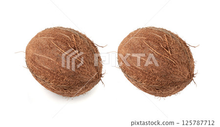 Whole coconut, one coco nut isolated, single fresh tropical palm fruit, natural milk, oil ingredient Whole coconut, one coco nut isolated, single fresh tropical palm fruit, natural milk, oil ingredient 125787712