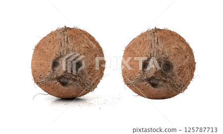 Whole coconut, one coco nut isolated, single fresh tropical palm fruit, natural milk, oil ingredient 125787713