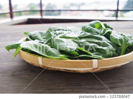 italian spinach vegetable leaves leafy vegetables green table italian spinach vegetable leaves leafy vegetables green table 125788047
