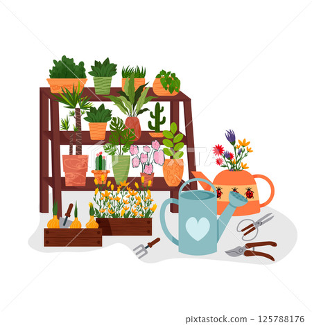 Shelf with plants. Home garden. Gardening work. Various plants on shelves, watering can and decorative teapot with a bouquet of flowers. Garden tools - scissors, pruning shears, shovel. Shelf with plants. Home garden. Gardening work. Various plants on shelves, watering can and decorative teapot with a bouquet of flowers. Garden tools - scissors, pruning shears, shovel. 125788176