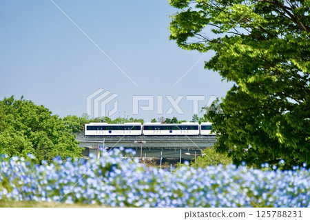 Linimo, a transportation service to Nemophila fields and Ghibli Park Linimo, a transportation service to Nemophila fields and Ghibli Park 125788231