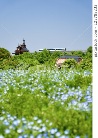 Linimo, a transportation service to Nemophila fields and Ghibli Park Linimo, a transportation service to Nemophila fields and Ghibli Park 125788232