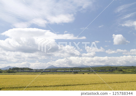 [檔案] 北斗星，豪華臥舖列車 125788344