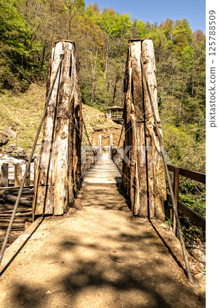 Mencuna Waterfall is a waterfall located in the Arhavi district of Artvin province. 125788509