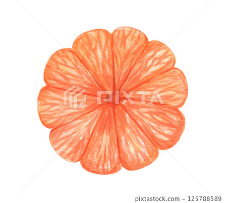Watercolor mandarin, isolated food illustration. Tropical orange fruit 125788589