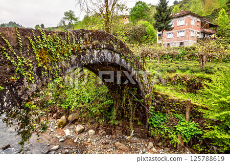 Cifte Bridge is two adjacent arch bridges located in the Arhavi district of Artvin province. 125788619