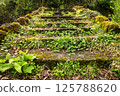 Cifte Bridge is two adjacent arch bridges located in the Arhavi district of Artvin province. 125788620