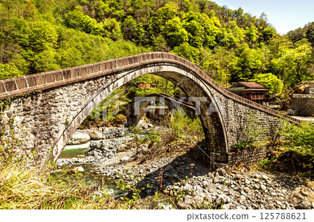 Cifte Bridge is two adjacent arch bridges located in the Arhavi district of Artvin province. 125788621