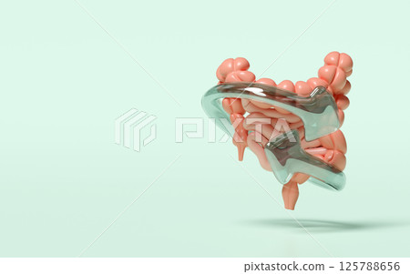 3d realistic human intestine icon with arrow transparent isolated on green background. health check, medicare concept, , 3d illustration render 125788656