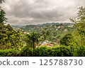 A village in the greenery of the Black Sea 125788730