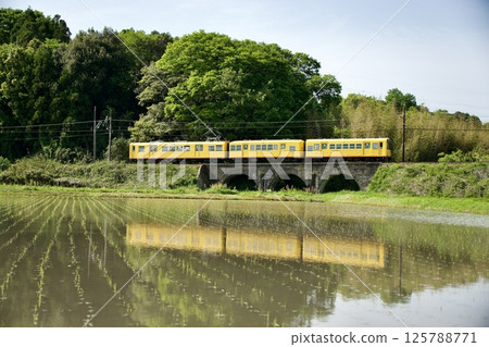 Sangi Railway Hokusei Line and Meganebashi Bridge running through the rice fields of the water mirror Sangi Railway Hokusei Line and Meganebashi Bridge running through the rice fields of the water mirror 125788771