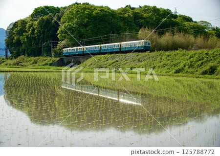 貫穿水鏡稻田的三義鐵道北勢線和眼鏡橋 125788772