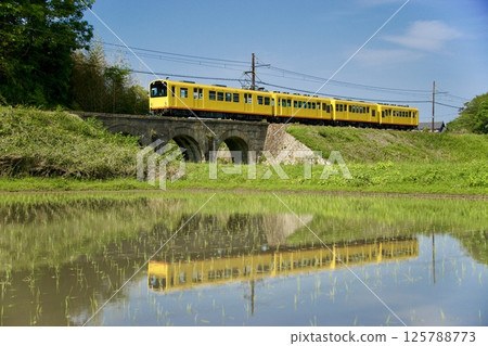 Sangi Railway Hokusei Line and Meganebashi Bridge running through the rice fields of the water mirror 125788773