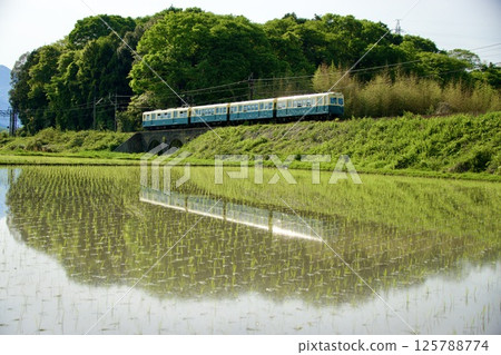 Sangi Railway Hokusei Line and Meganebashi Bridge running through the rice fields of the water mirror Sangi Railway Hokusei Line and Meganebashi Bridge running through the rice fields of the water mirror 125788774