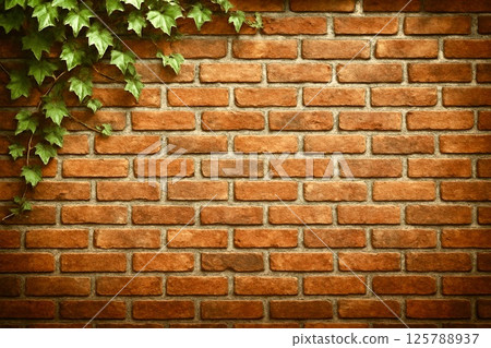 Brick wall and ivy Brick wall and ivy 125788937