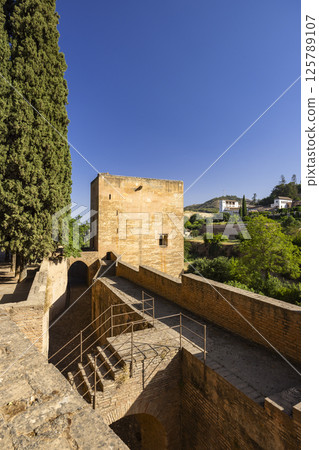 Alhambra, Generalife and Albayzin (Generalife y Albaicin de Granada), UNESCO site, Granada, Andalusia, Spain 125789107