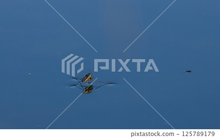 Drone flying high above a serene landscape during a clear blue sky, showcasing its advanced technology and outdoor exploration potential 125789179