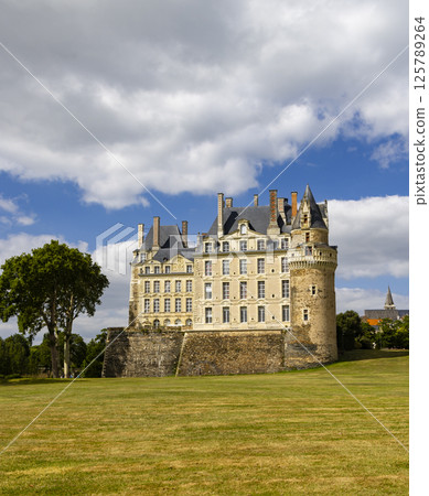 Chateau de Brissac, Brissac-Quince, Pays de la Loire, France Chateau de Brissac, Brissac-Quince, Pays de la Loire, France 125789264