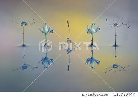 Water Drops/Creative Photography 125789447