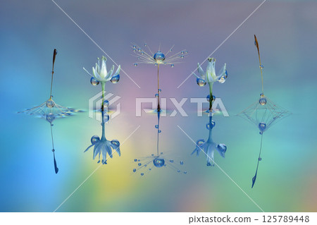 水滴/創意攝影 125789448