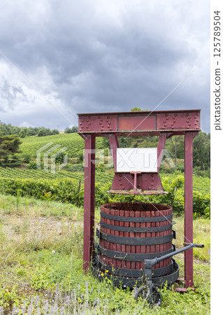 Traditional wine press standing in the vineyards of Pieusse, France, under cloudy sky 125789504