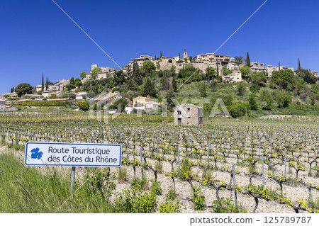 Typical vineyard with Wine road (Route Touristique des Cotes du Rhone) near Faucon, Cotes du Rhone, France 125789787