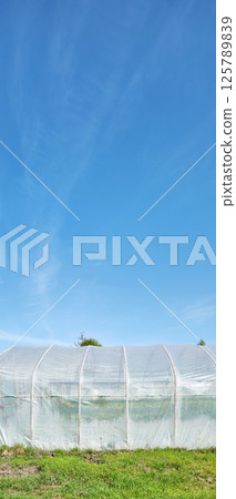 Polytunnel on an organic farm against the blue sky. Polytunnel on an organic farm against the blue sky. 125789839